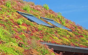 Ammanford living roof systems