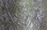 Ammanford fibreglass roof work